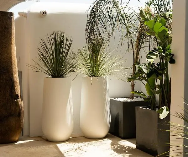 νumi Boutique Mykonos Town