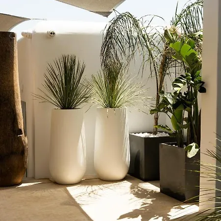 νumi Boutique Mykonos Town