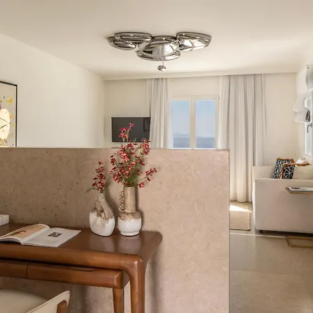 Casa Kiku Mykonos 호텔 *